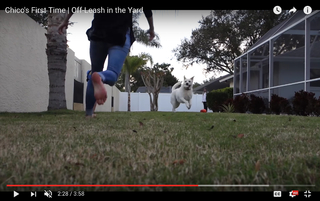 Allison Speed feet photo thumbnail
