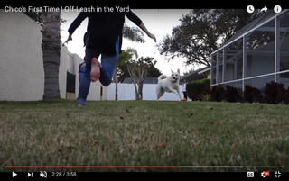 Allison Speed feet photo thumbnail
