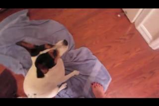 Allison Speed feet photo thumbnail