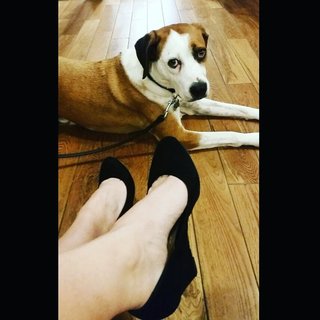 Allison Tolman feet photo 15