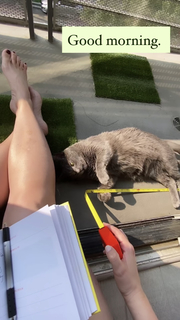 Allison Tolman feet photo 14