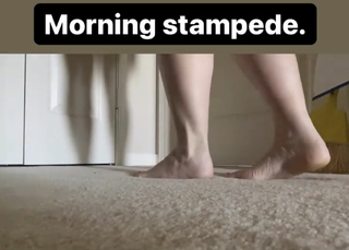 Allison Tolman feet photo 12