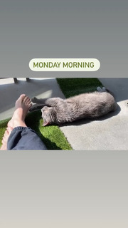 Allison Tolman feet photo 7