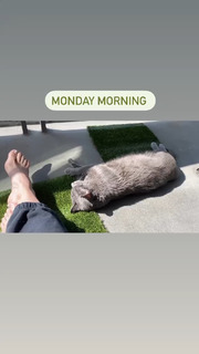 Allison Tolman feet photo 6
