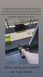 Allison Tolman feet photo 5