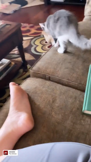 Allison Tolman feet photo 4