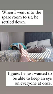 Allison Tolman feet photo 2