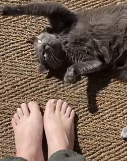 Allison Tolman feet photo 20
