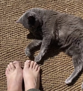 Allison Tolman feet photo 19