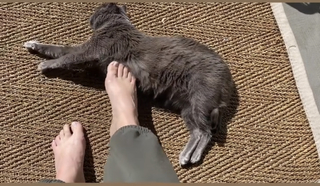 Allison Tolman feet photo 18