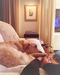 Allison Williams feet photo thumbnail