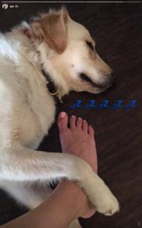 Allison Williams feet photo thumbnail