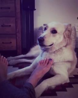 Allison Williams feet photo thumbnail