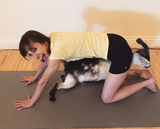 Allisyn Snyder feet photo 5