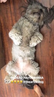 Ally Maki feet photo 9