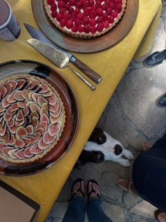 Alycia Debnam-Carey feet photo thumbnail