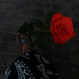 Alyona Ponomarenko feet photo 12