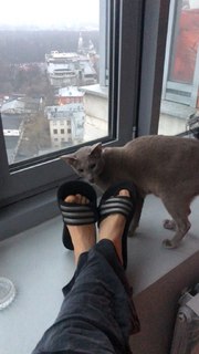 Alyona Ponomarenko feet photo 10