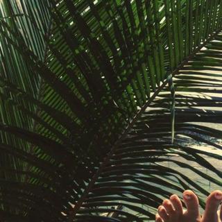 Alyona Vodonaeva feet photo 6