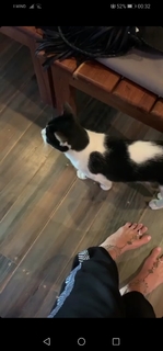 Alyssa Arcè feet photo 4