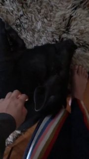 Alyssa Miller feet photo 9