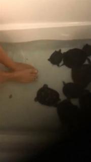 Amanda Cerny feet photo thumbnail