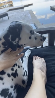 Amanda Cerny feet photo thumbnail