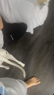 Amanda Cerny feet photo thumbnail