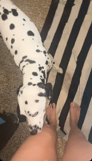 Amanda Cerny feet photo thumbnail