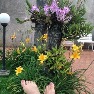 Amanda Françozo feet photo 13