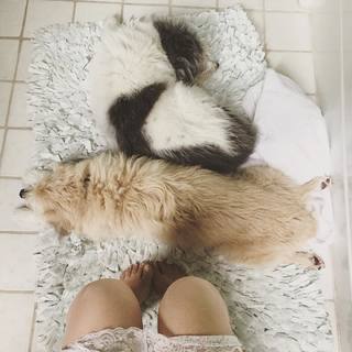Amanda Fuller feet photo thumbnail