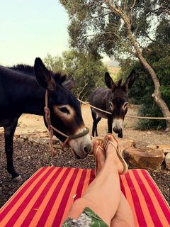 Amanda Lamb feet photo 5