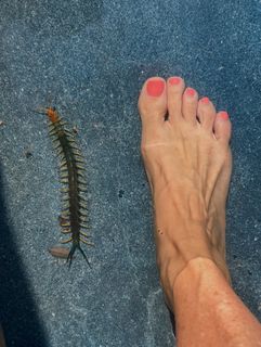 Amanda Martin feet photo 6