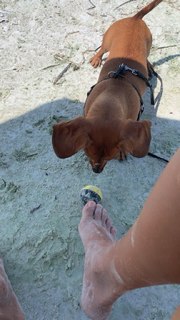 Amanda Nunes feet photo 8