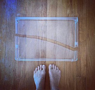 Amanda Palmer feet photo 17