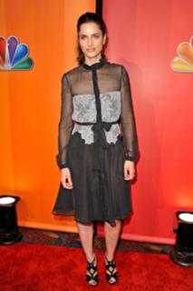 Amanda Peet feet photo thumbnail
