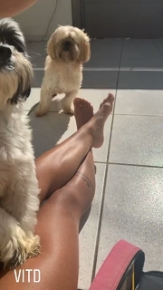 Amanda Ribas feet photo 8