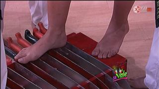 Amanda Rosa feet photo 8