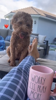 Amanda Saccomanno feet photo thumbnail
