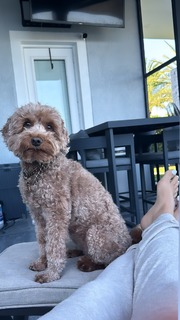 Amanda Saccomanno feet photo thumbnail