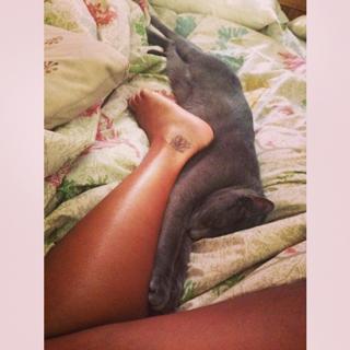 Amanda Seales feet photo thumbnail