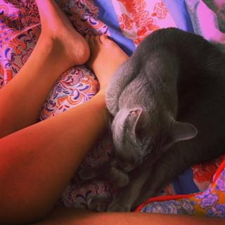 Amanda Seales feet photo thumbnail