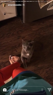 Amanda Seales feet photo thumbnail