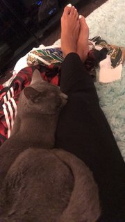 Amanda Seales feet photo thumbnail