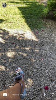 Amanda Seales feet photo thumbnail