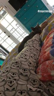 Amanda Seales feet photo thumbnail