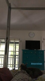 Amanda Seales feet photo thumbnail