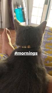 Amanda Seales feet photo thumbnail