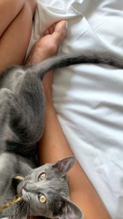 Amanda Seales feet photo thumbnail