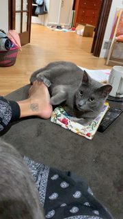 Amanda Seales feet photo thumbnail